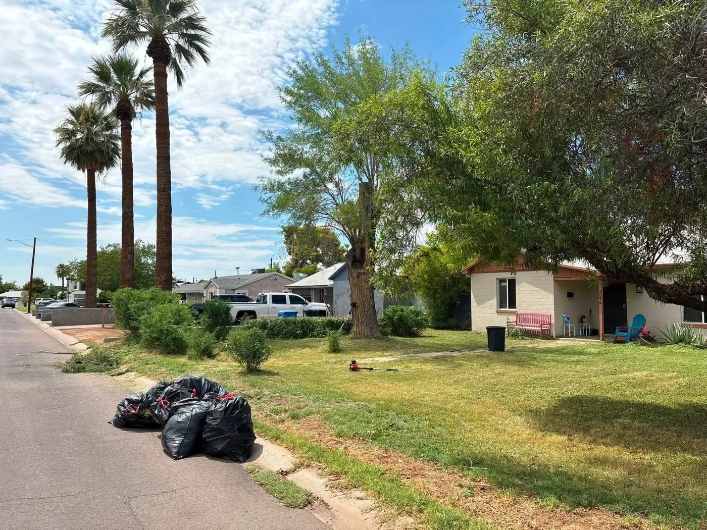 Bagged cleanup debris ready for haul-away